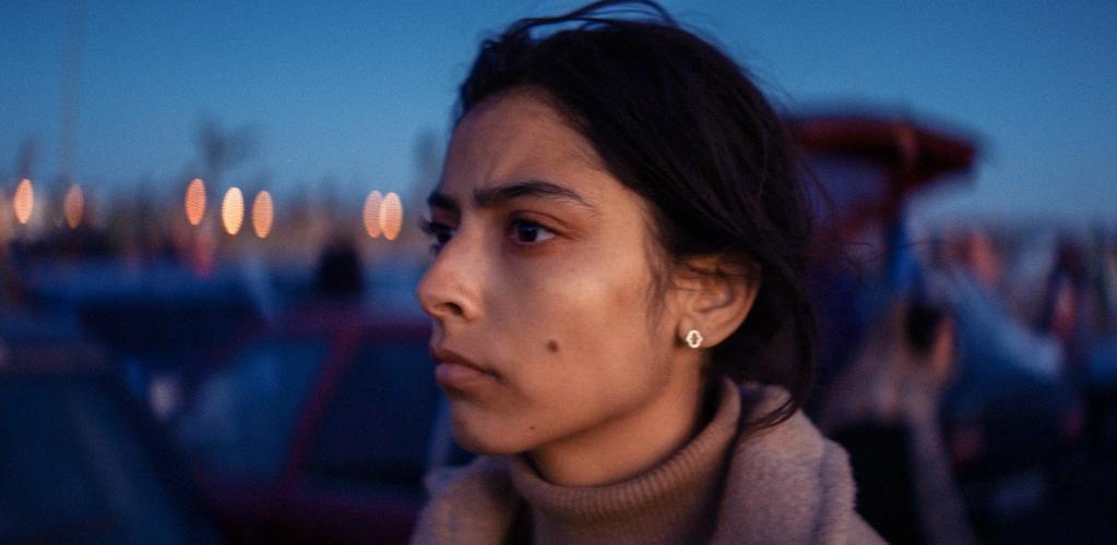 Animalia - &copy; Ad Vitam