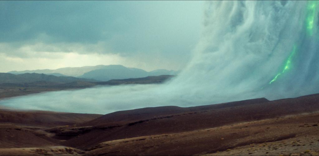 Animalia - &copy; Ad Vitam